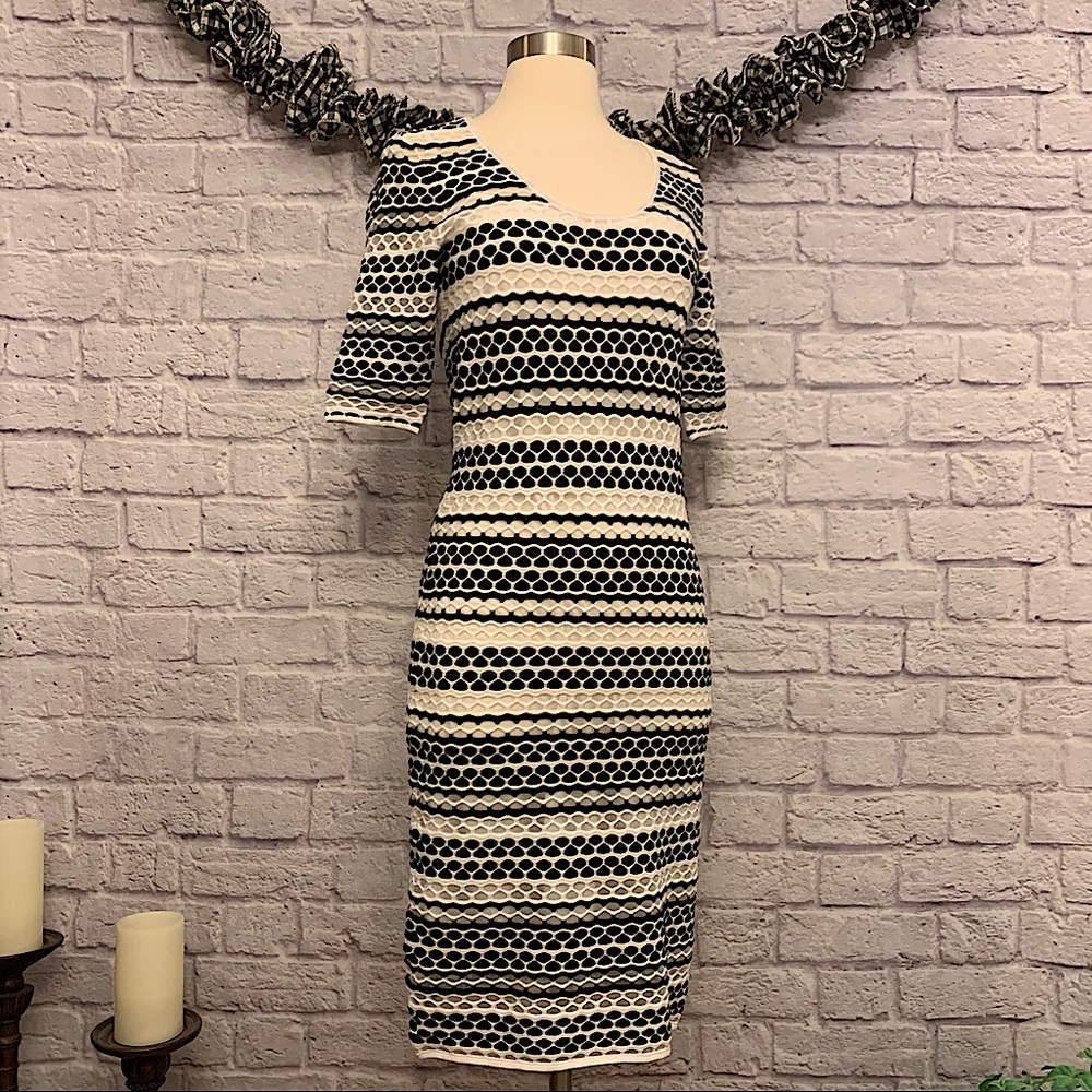 Etcetera Bodycon Sheer Dress with Slip Lining